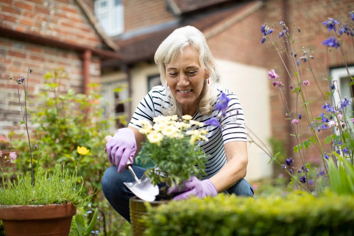 Give some gardening tips